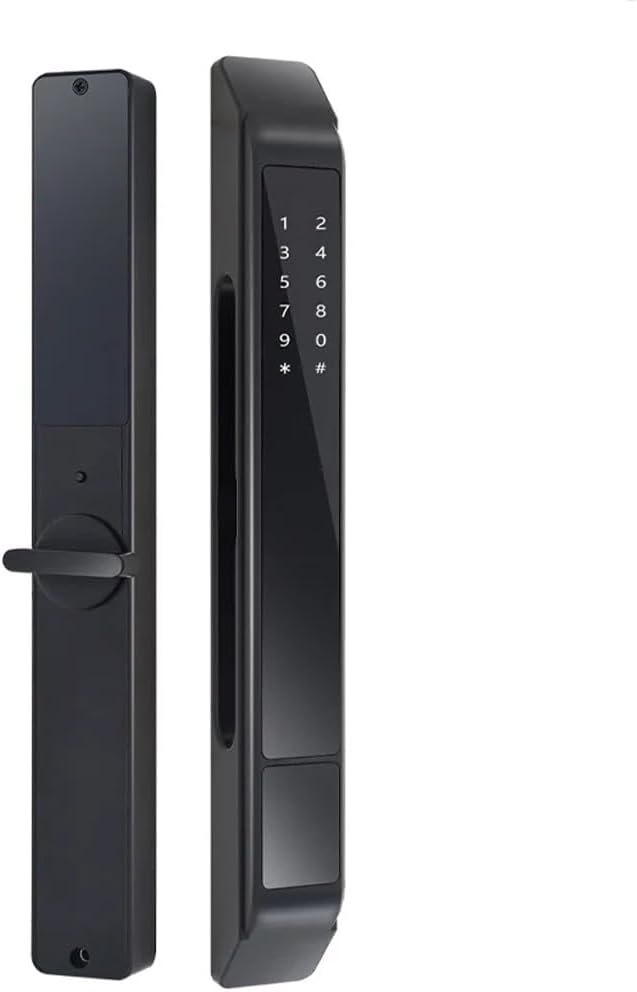 DJGACSI プッシュプル自動アルミ引き戸ほぞ穴 Ttlock 指紋電子